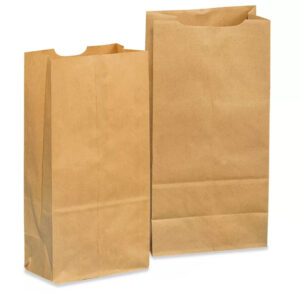 Heavy Duty Grocery Bags Image